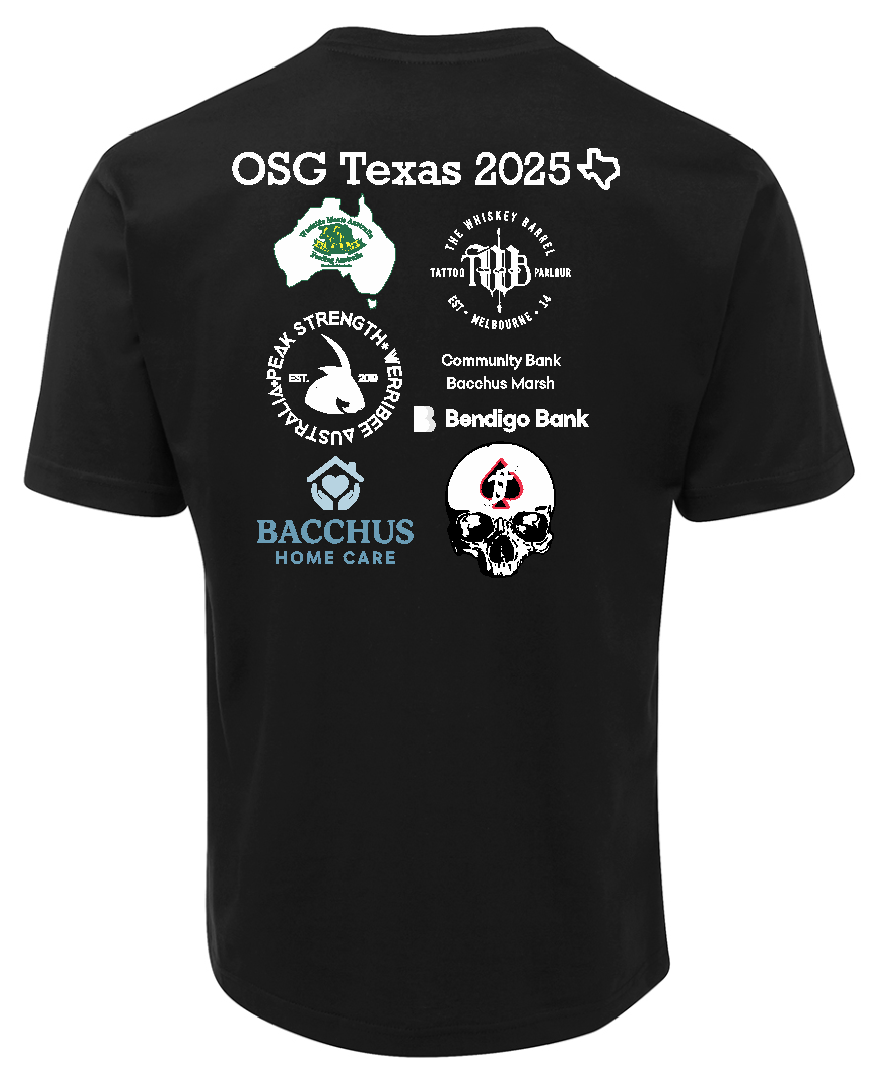 Shield Maiden - Image 2